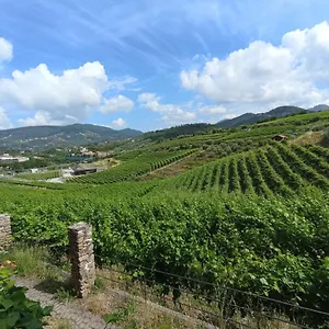 Al Vigneto Sestri Levante